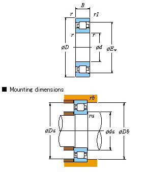 Single-row SKF,NSK,NTN,Timken – NF NF310