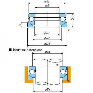 All kinds of faous brand Bearings and block 53316U