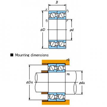 Matched High quality mechanical spare parts pair &#8211; Tandem DT &#8211; With pressed cage 7220BDT