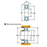 All kinds of faous brand Bearings and block Single-row &#8211; NF NF415