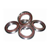 1222 Self Aligning Ball Bearings NSK Country of Japan