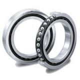 1204 Self Aligning Ball Bearings NSK Country of Japan